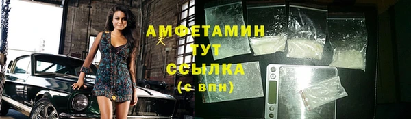 индика Бугульма
