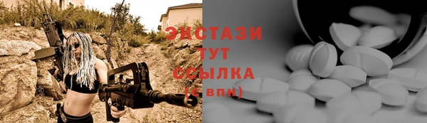 индика Бугульма