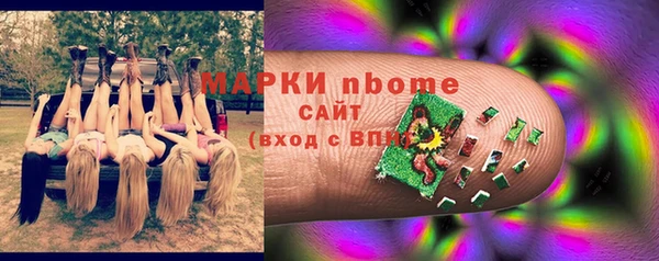 apvp Бородино