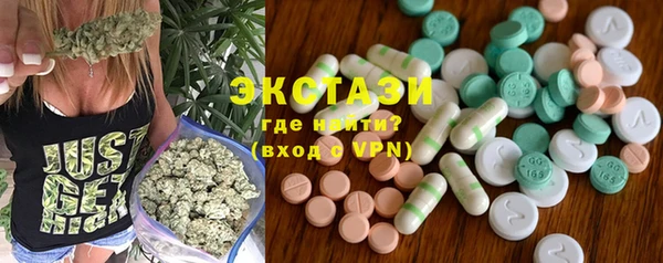 индика Бугульма