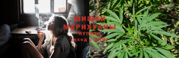 apvp Бородино