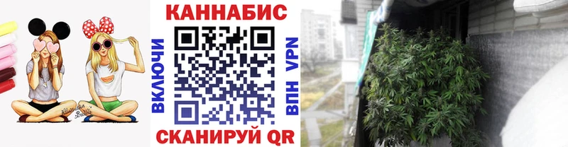 купить  сайты  Мостовской  Бошки Шишки план 